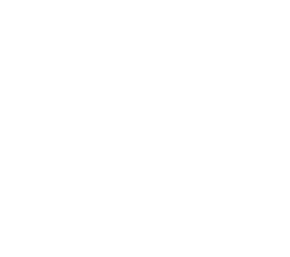 Laneez
